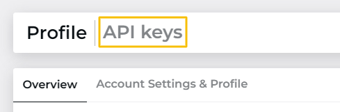 BusyScan - API Keys section